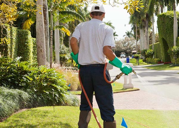 About Avon By The Sea NJ Pest Control Pros